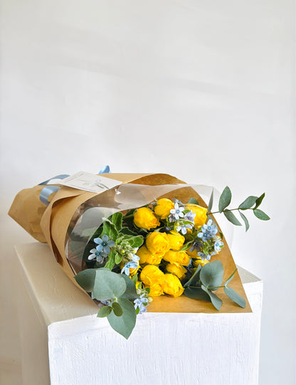 Tweedia Blue