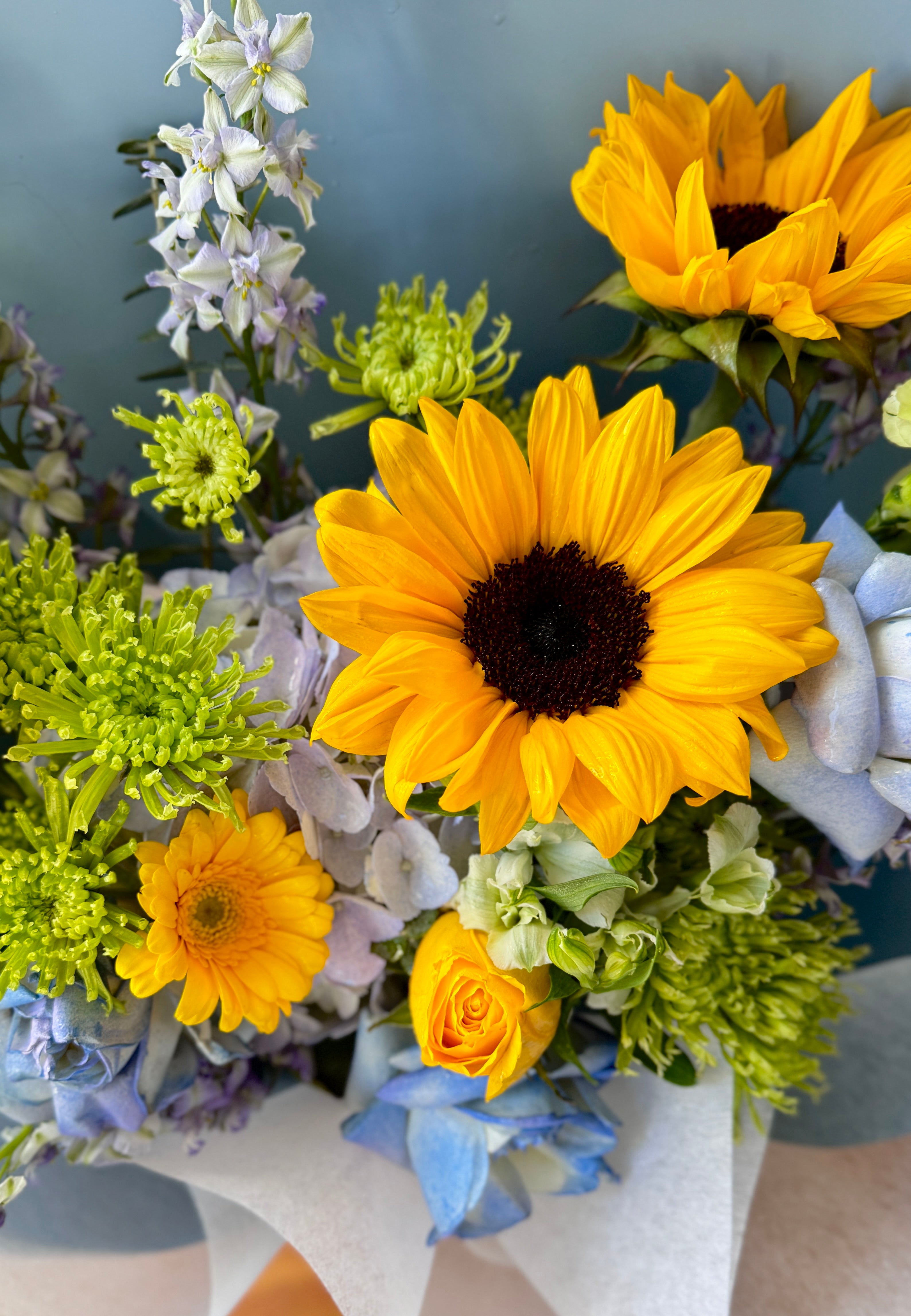 Bright Beginnings